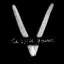 Logo VALE | mystery school