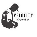 Logo Velocity <mark>Baseball</mark> 101