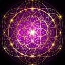 Logo Living in the Vortex Academy