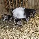 Logo We <mark>conquer</mark>