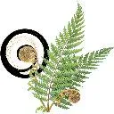 Logo Wilder Profits | Mom's Edition