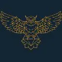 Logo Wise <mark>Capital</mark> Solutions