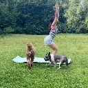 Logo <mark>Yogis</mark>