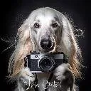 Logo Your Own Image <mark>Capture</mark>